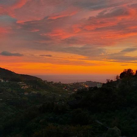 Il Nido Del Viaggiatore Vallebona المظهر الخارجي الصورة
