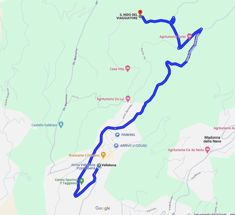 Il Nido Del Viaggiatore Vallebona المظهر الخارجي الصورة